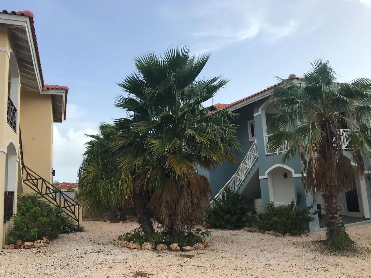يلمستاد Serugrandi Resort 0*,  كوراساو